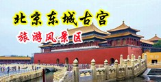 大鸡巴捅逼淫荡视频流露中国北京-东城古宫旅游风景区